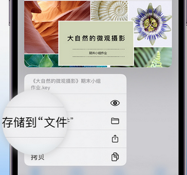 青龙apple维修中心分享iPhone文件应用中存储和找到下载文件