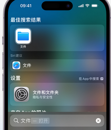 青龙apple维修中心分享iPhone文件应用中存储和找到下载文件 