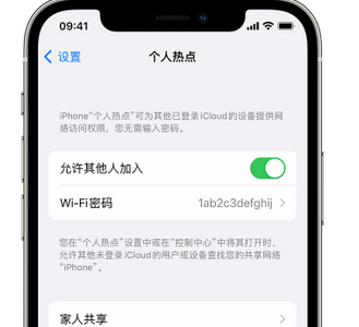 青龙apple服务站点分享iPhone上个人热点丢失了怎么办 