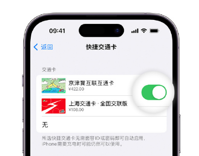 青龙apple维修点分享iPhone上更换Apple Pay快捷交通卡手绘卡面 