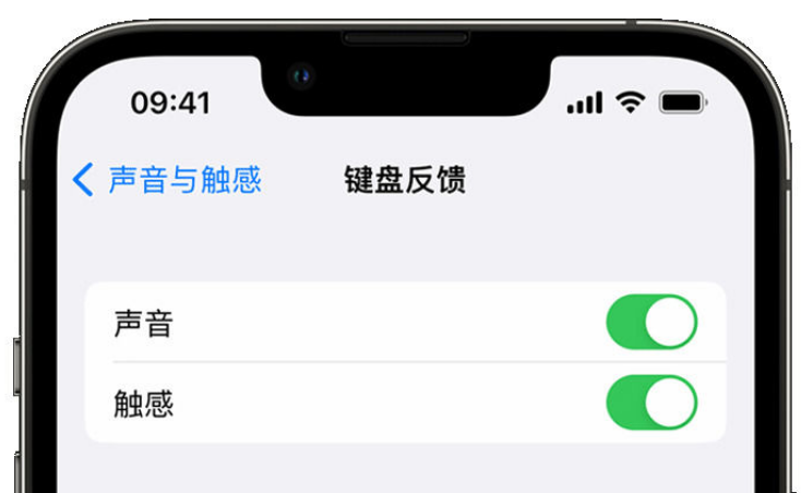 青龙苹果手机维修分享iPhone 14触感键盘使用方法 