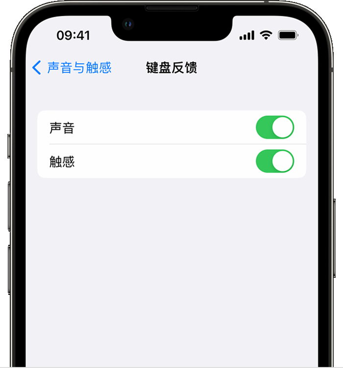 青龙苹果14维修店分享如何在 iPhone 14 机型中使用触感键盘 