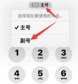 青龙苹果14维修店分享iPhone 14 Pro Max使用副卡打电话的方法 