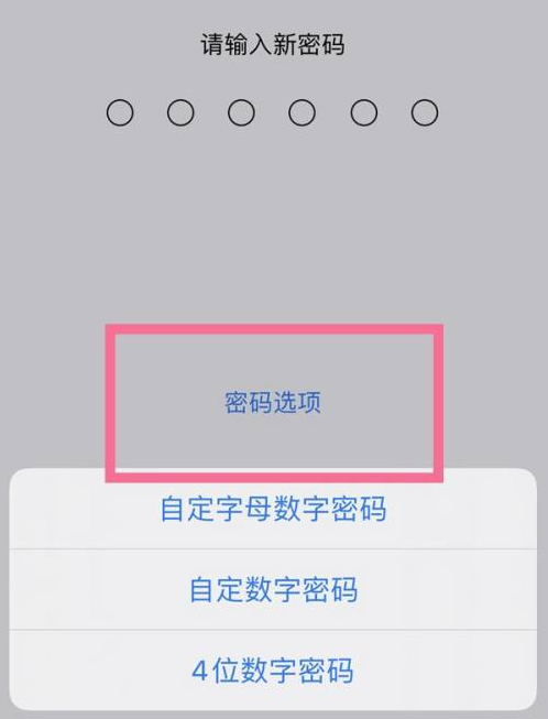 青龙苹果14维修分享iPhone 14plus设置密码的方法 