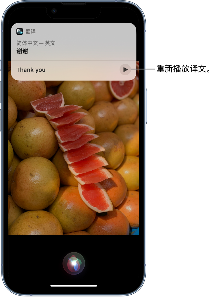 青龙苹果14维修分享 iPhone 14 机型中使用 Siri：了解 Siri 能帮你做什么 