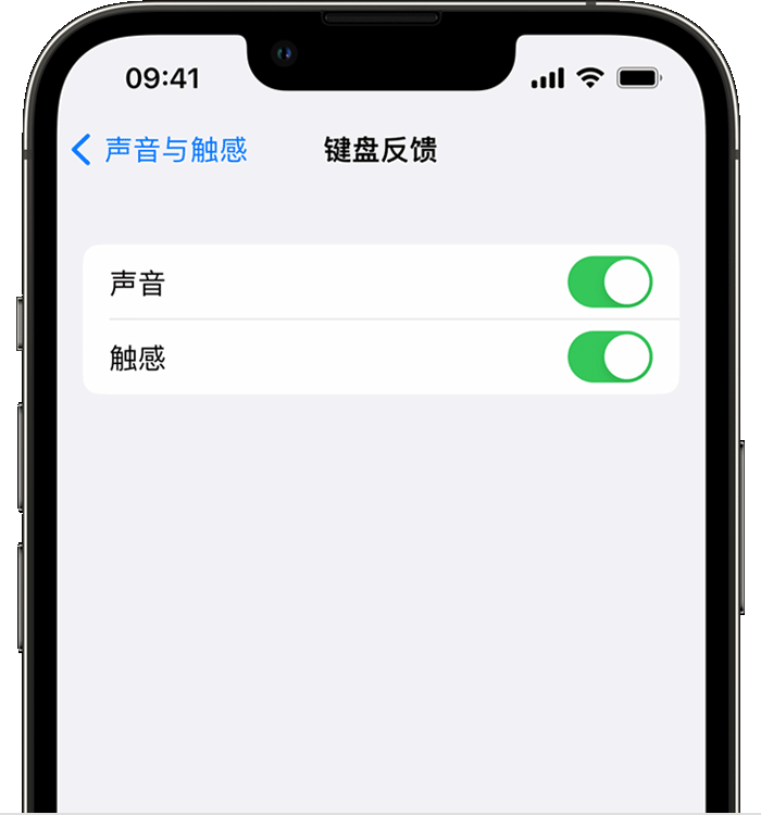 青龙苹果14维修分享iPhone 14 系列机型如何开启键盘声音或触感反馈 