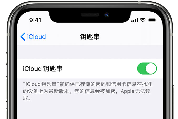 青龙苹果手机维修分享在 iPhone 上开启 iCloud 钥匙串之后会储存哪些信息 