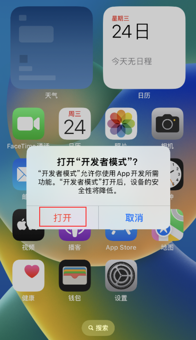 青龙苹果手机维修分享如何打开开发者模式 
