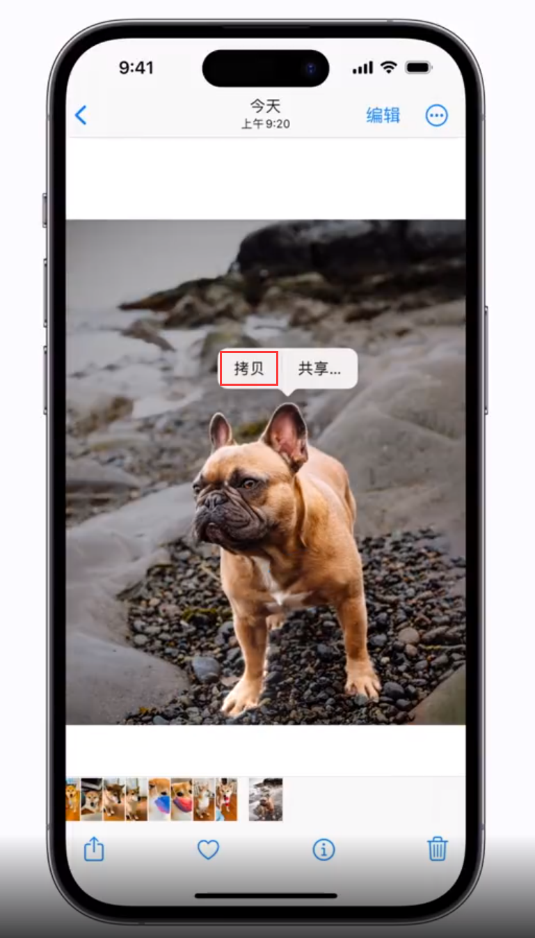 青龙苹果手机维修分享 iOS 16 自带一键抠图功能 