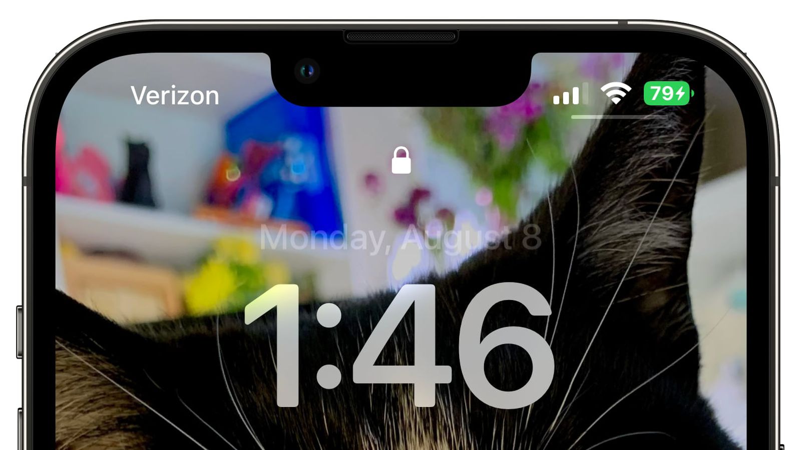 青龙苹果手机维修分享iOS 16 beta 5 支持状态栏显示电池百分比，如何开启？支持哪些机型 