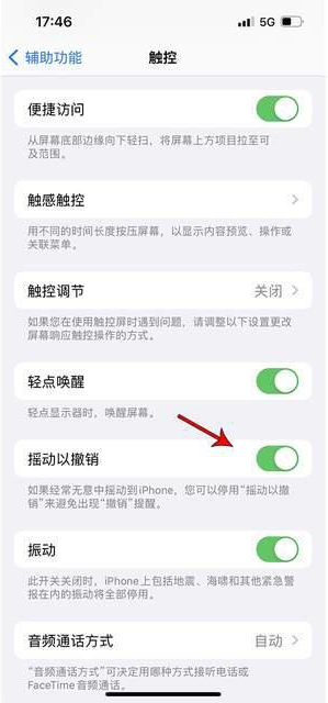 青龙苹果手机维修分享iPhone手机如何设置摇一摇删除文字 