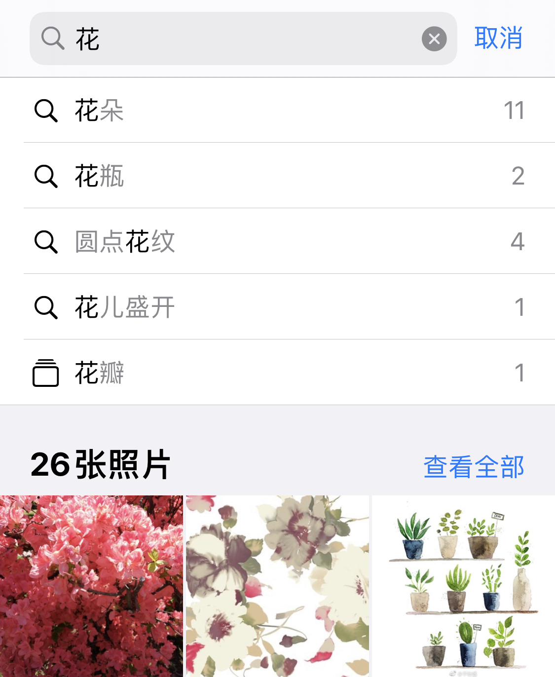 青龙苹果手机维修分享iPhone 小技巧 