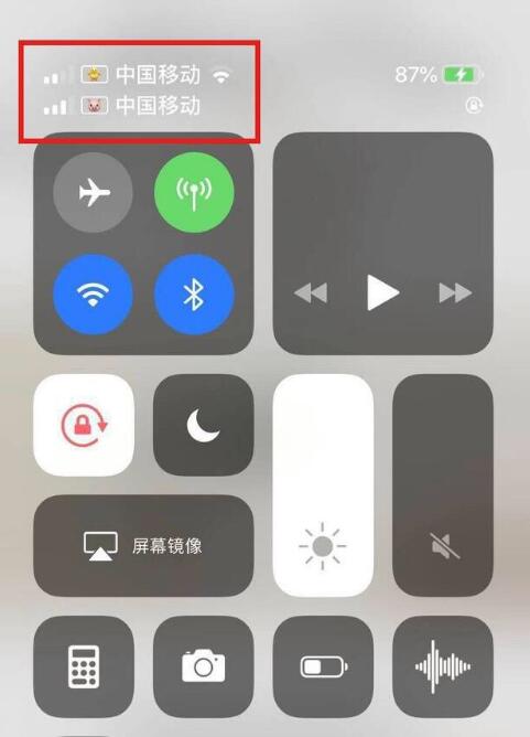 青龙苹果手机维修分享为 iPhone 12 双卡设置标签 