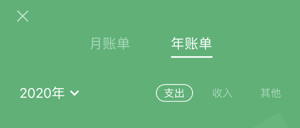 青龙苹果手机维修分享如何在 iPhone 上查看支付宝和微信年支出账单 