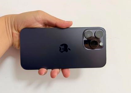 青龙苹果维修点分享iPhone 14 Pro Max黑屏少见故障盘点 